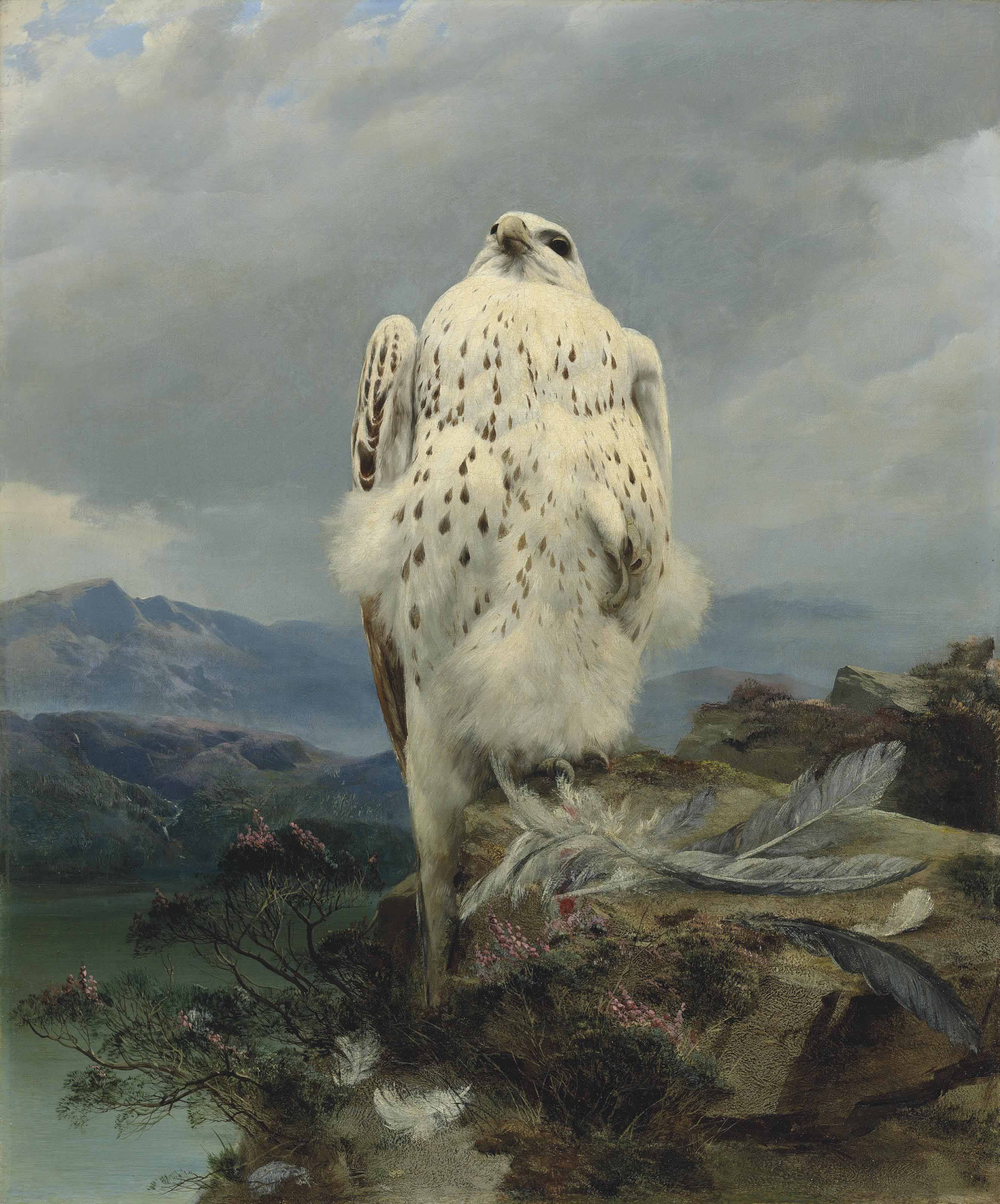 attributed to joseph wolf (1820-1899)